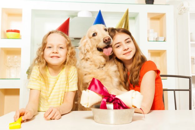 PF-2018-Blog-February-YearofDog