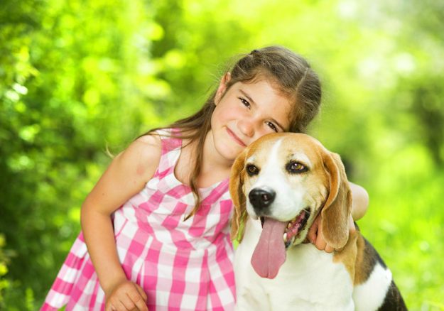 Girl Checkered Dress Summer fun with new Twistedz dog chews