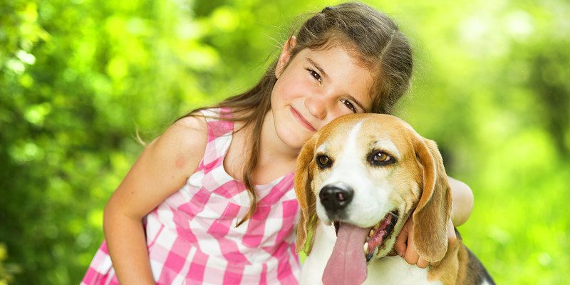 Summer fun with new Twistedz dog chews