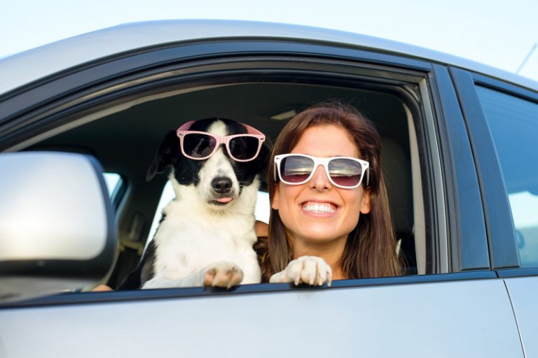 Tips for Traveling with Dogs