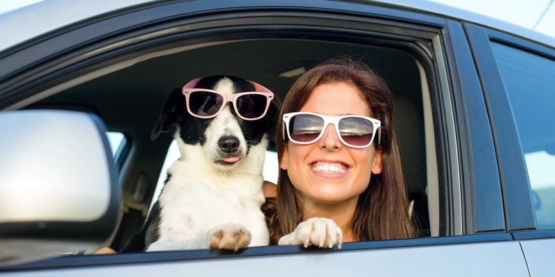 PF-2018-Blog-July-driving Tips for Traveling with Dogs