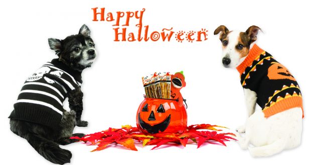 PF-2018-halloween trick or treat