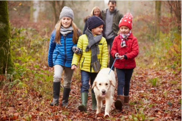 PF-2018-FamilyWalkingDog Celebrating Thanksgiving with your dog