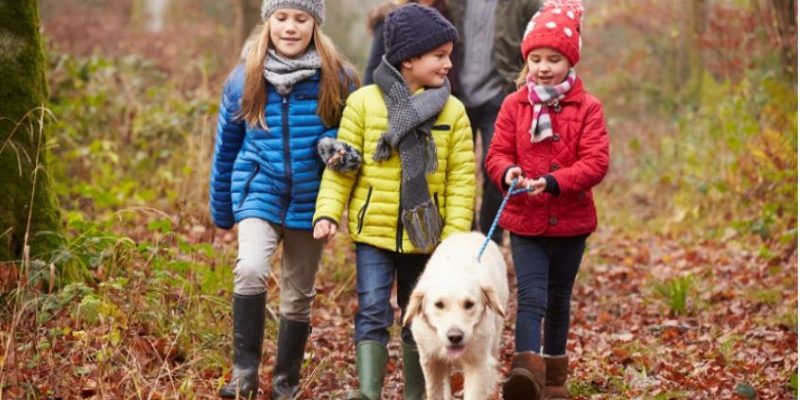 PF-2018-FamilyWalkingDog Celebrating Thanksgiving with your dog