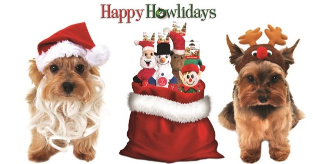 PF-2018-HappyHolidayTreatBAGSOFTOYS2 pet toys