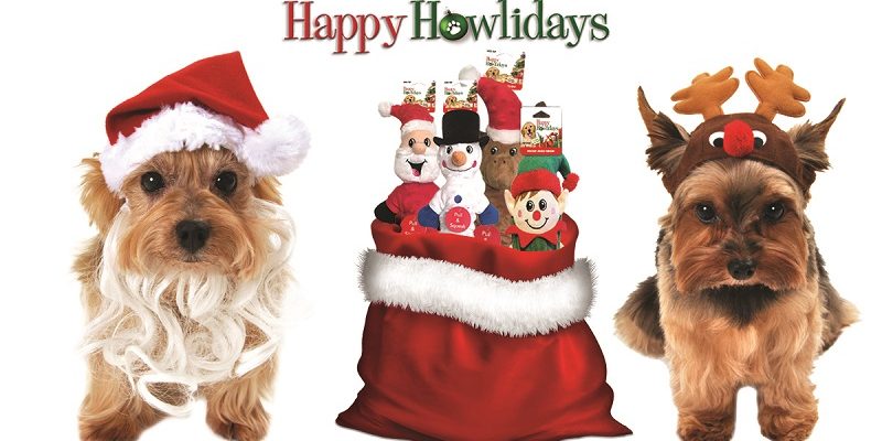 Top Ten Gift Ideas for Dogs - Pet Factory
